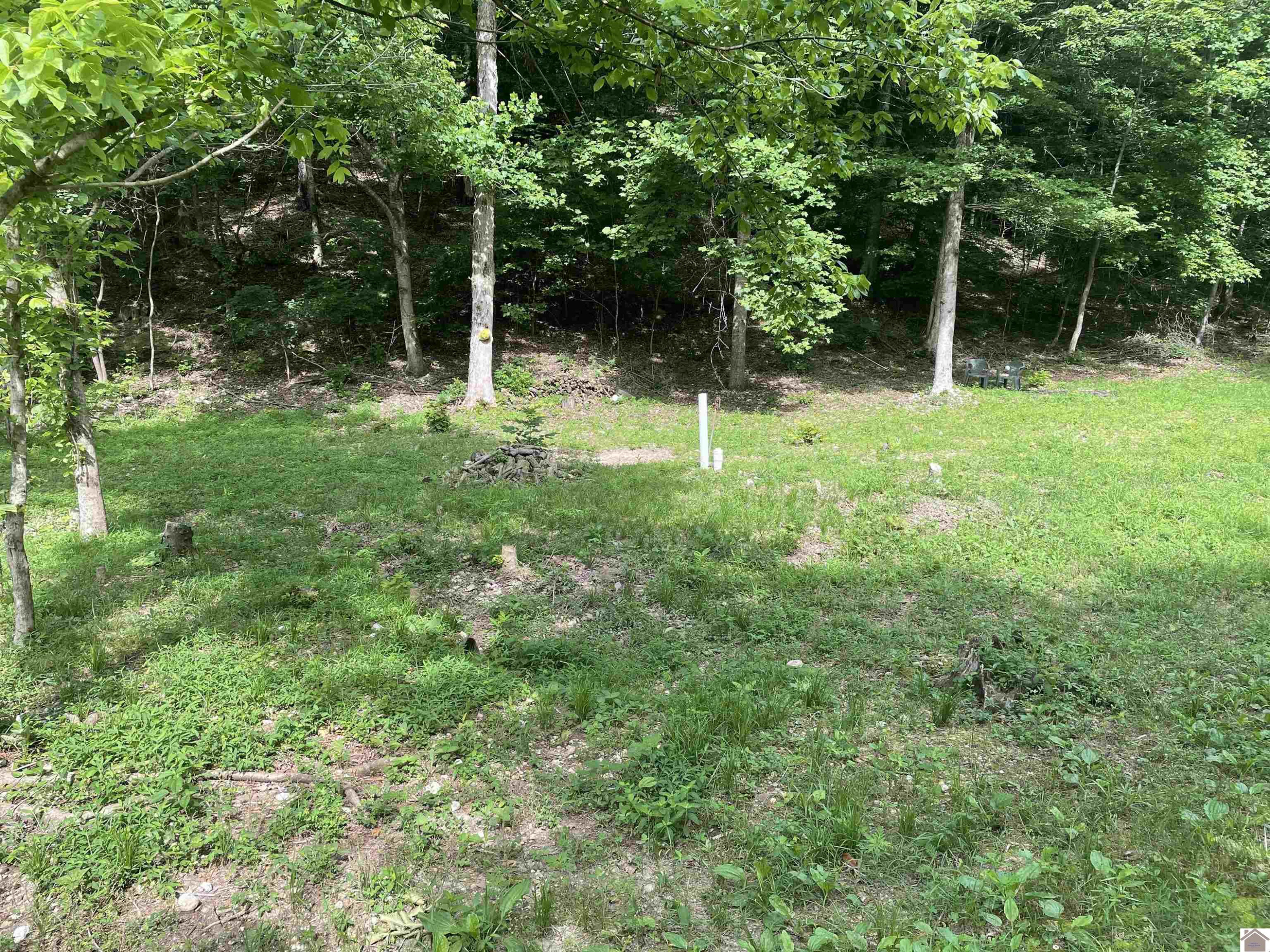 3642 Linton Road Cadiz, KY 42211 - Photo 3 of 18 Photo 3