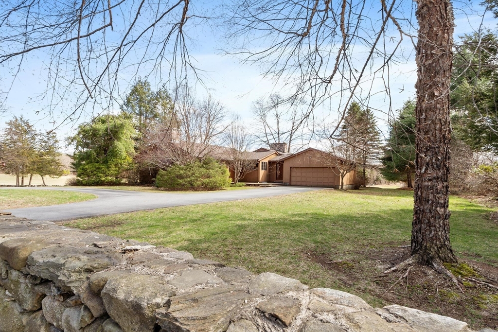 243 Concord Road Westford, MA 01886 - Photo 1 of 42 a tall tree in middle of the garden