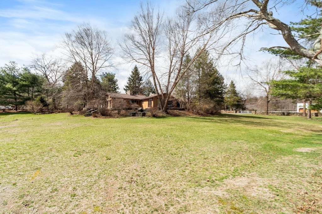 243 Concord Road Westford, MA 01886 - Photo 33 of 42 a view of yard with tree