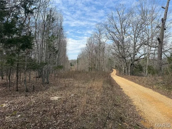 $39,000 | 7 Off Ocr 159, Fremont, MO 63941
