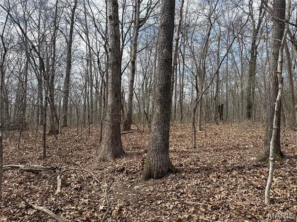 $39,000 | 7 Off Ocr 159, Fremont, MO 63941
