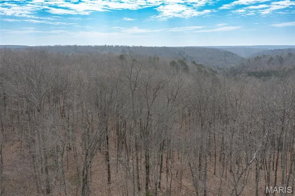 $39,000 | 7 Off Ocr 159, Fremont, MO 63941