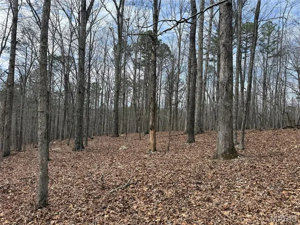 $39,000 | 7 Off Ocr 159, Fremont, MO 63941