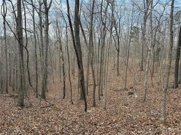 $39,000 | 7 Off Ocr 159, Fremont, MO 63941