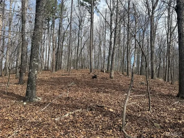 $39,000 | 7 Off Ocr 159, Fremont, MO 63941