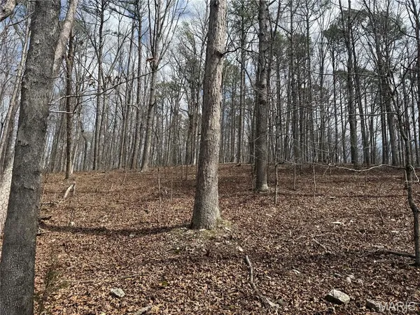 $39,000 | 7 Off Ocr 159, Fremont, MO 63941