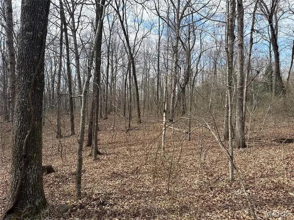 $39,000 | 7 Off Ocr 159, Fremont, MO 63941