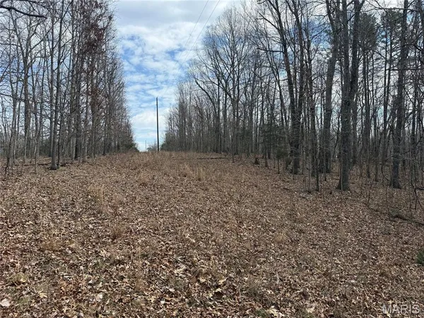 $39,000 | 7 Off Ocr 159, Fremont, MO 63941