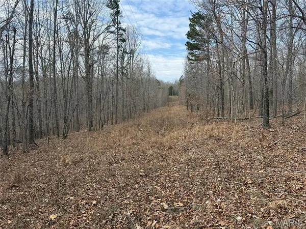 $39,000 | 7 Off Ocr 159, Fremont, MO 63941