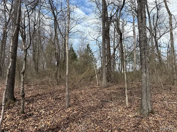 $39,000 | 7 Off Ocr 159, Fremont, MO 63941