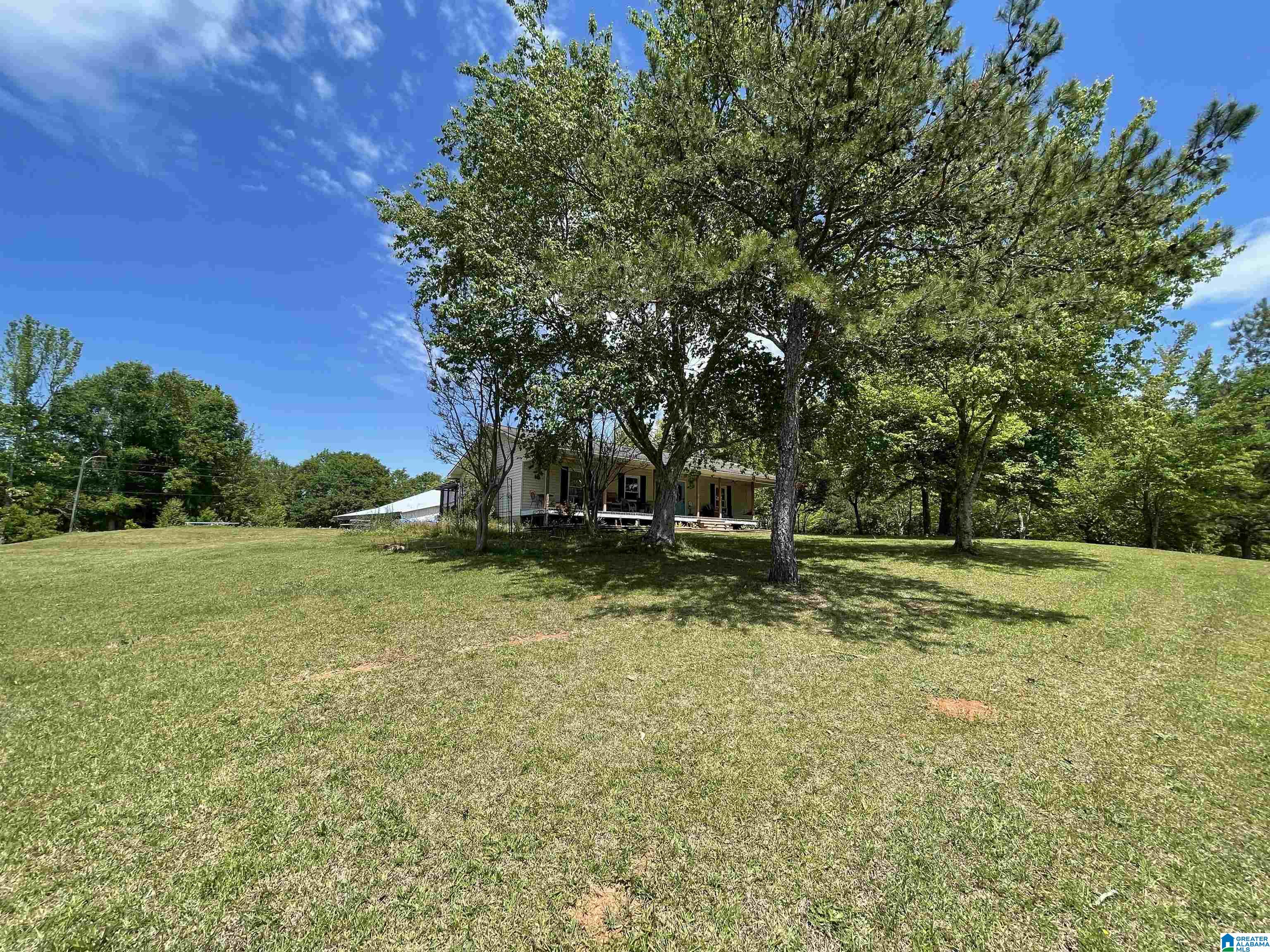 1403 Mt Moriah Road Delta, AL 36258 - Photo 4 of 26