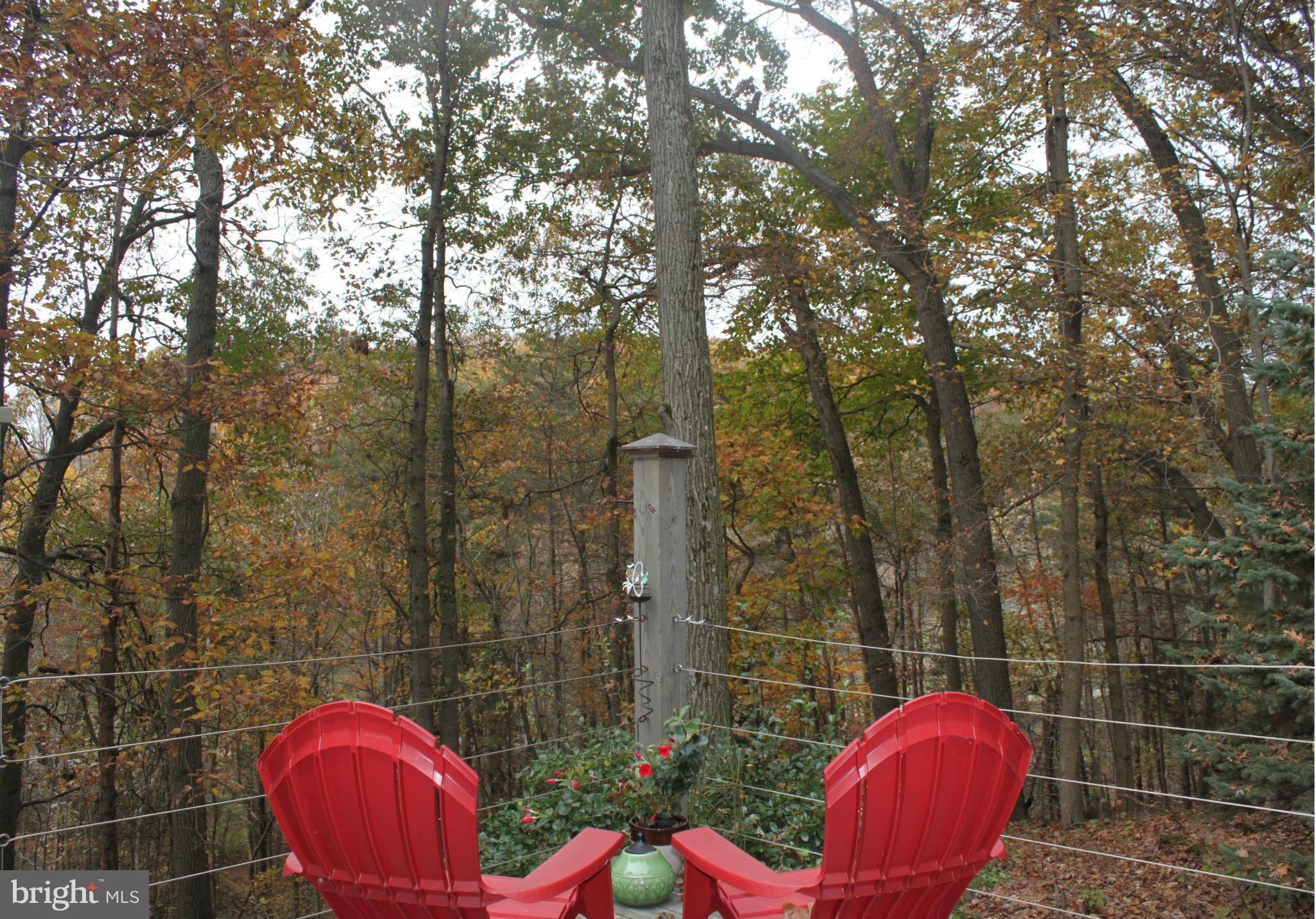 3953 Bay Road Whiteford, MD 21160 - Photo 17 of 30 View