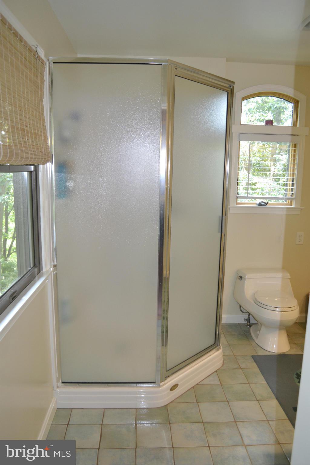 3953 Bay Road Whiteford, MD 21160 - Photo 22 of 30 Large shower in bath