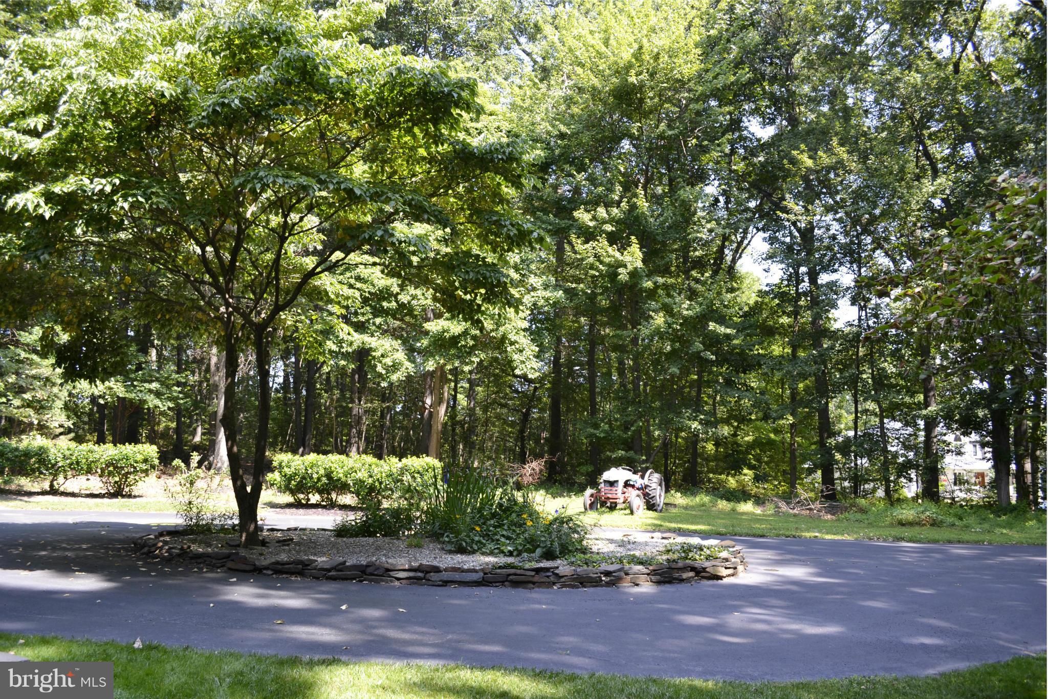 3953 Bay Road Whiteford, MD 21160 - Photo 28 of 30 Front driveway