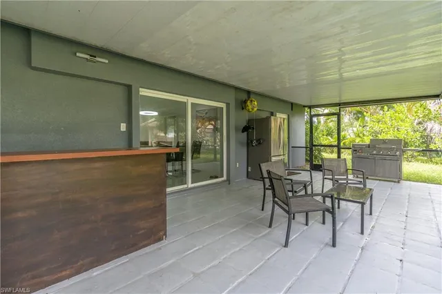 a view of a garden with a plant