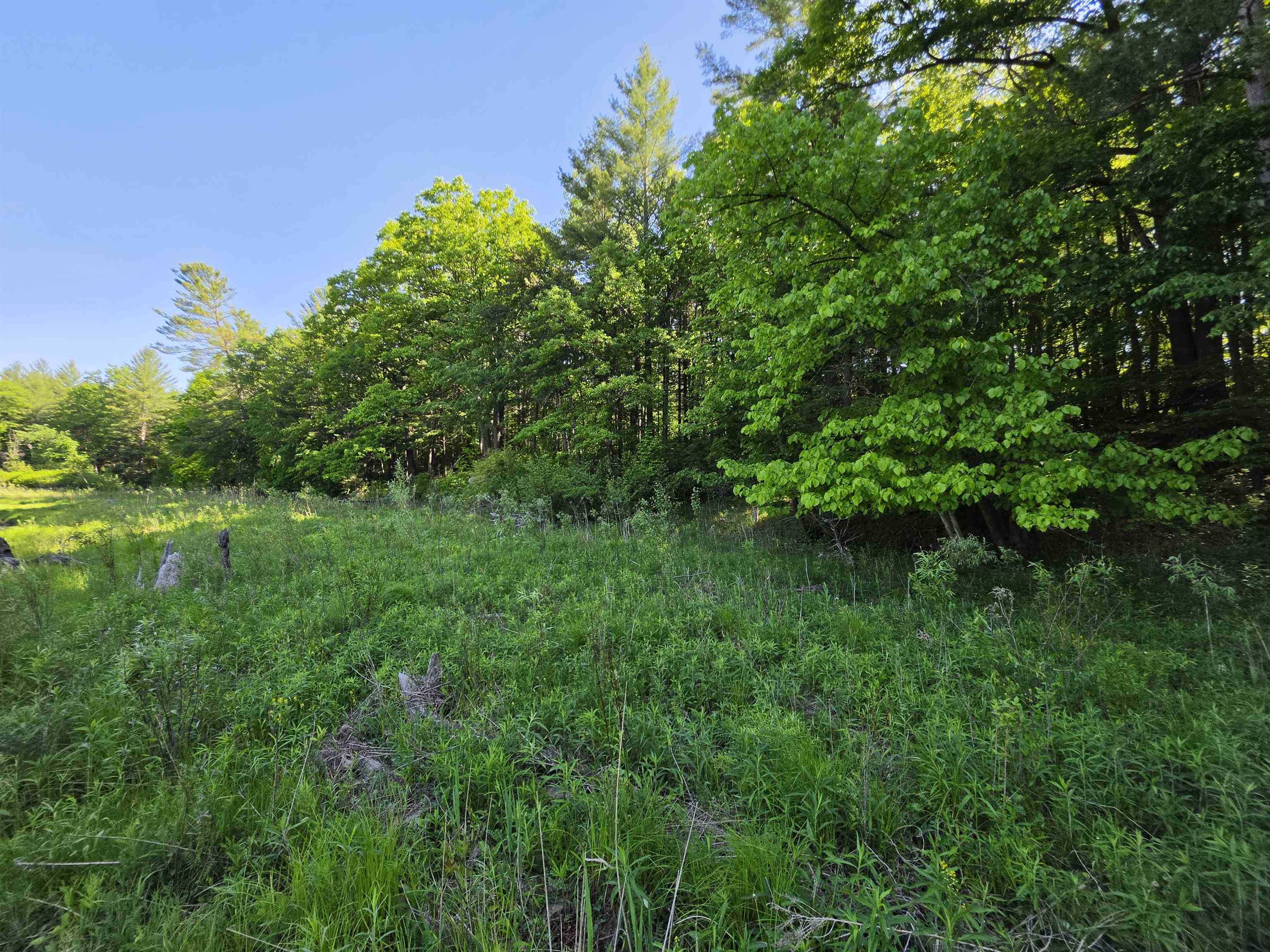 Tbd North Lakeshore Road Gladwin, MI 48624 - Photo 24 of 33