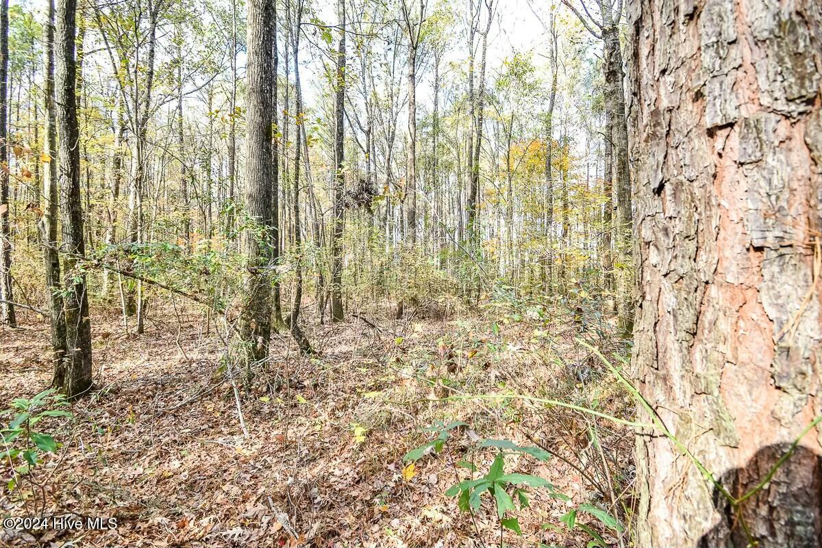 0 Crooked Run Road Elizabeth City, NC 27909 - Photo 12 of 13 tempImageZPNOND