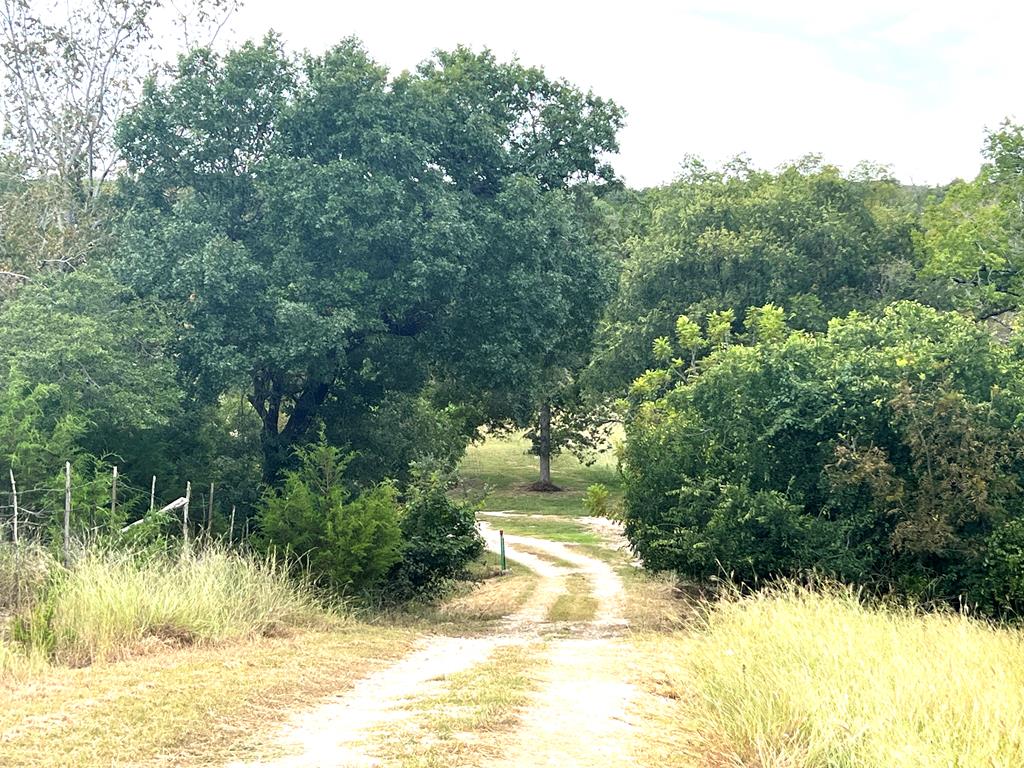 230 Teague Road Kerrville, TX 78028 - Photo 7 of 32
