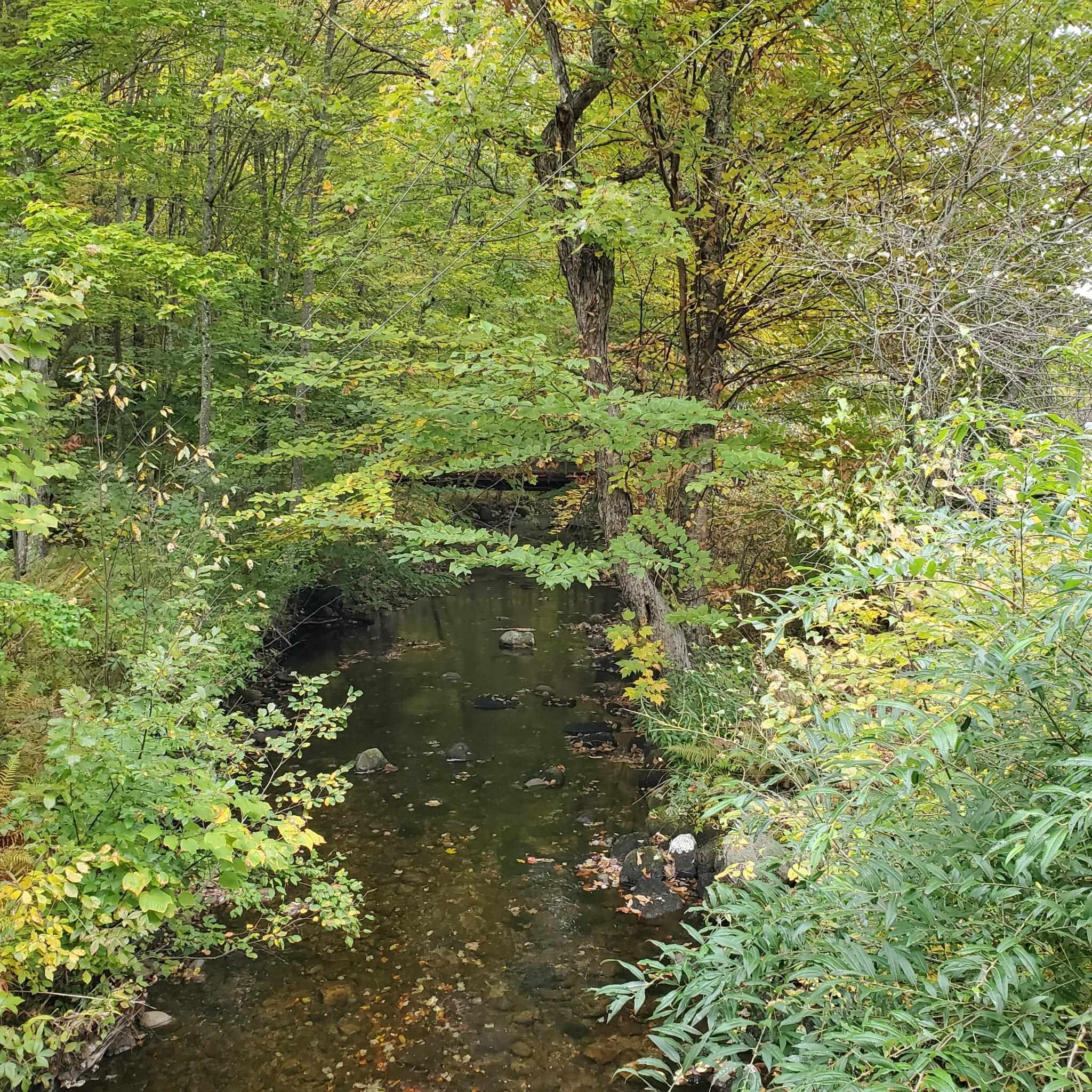 0 Rowentown Road Wentworth, NH 03282 - Photo 16 of 16