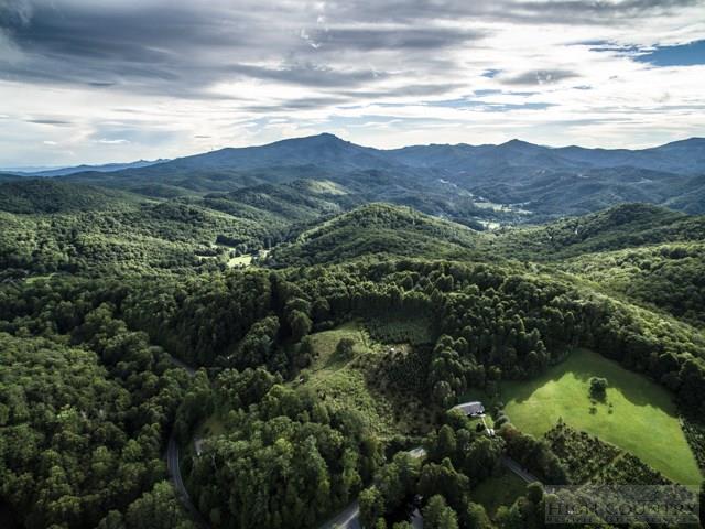 109 Red Rhododendron Road Boone, NC 28607 - Photo 1 of 25 Gallery Image 1