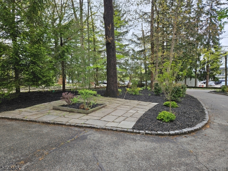 218 Devon Road Essex Fells, NJ 07021 - Photo 15 of 23 a view of a park with large trees