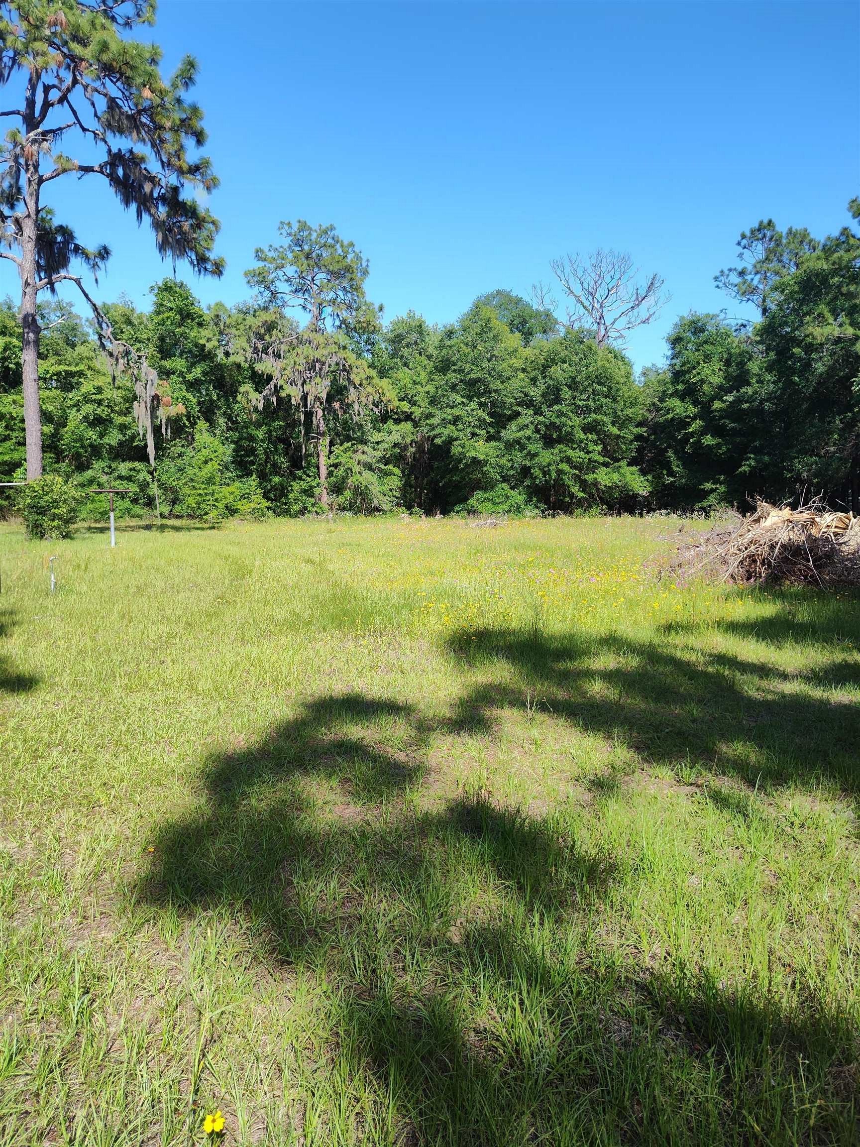 1618 Golf Course Road Perry, FL 32348 - Photo 14 of 16
