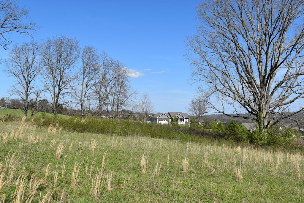 19 Temple Road Seymour, TN 37865 - Photo 2 of 4 Gallery Image 2
