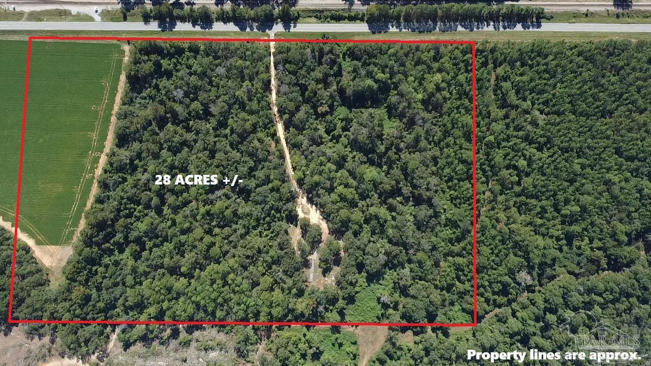 31 Atmore Al Atmore, AL 36502 - Photo 9 of 27 Gallery Image 9