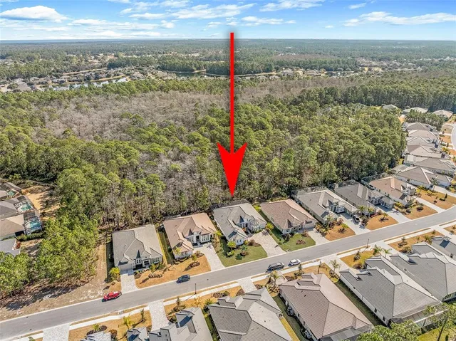 $1,495,000 | 272 Stirling Bridge Drive, Ormond Beach, FL 32174