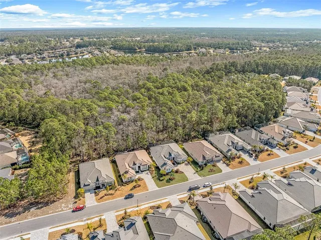 $1,495,000 | 272 Stirling Bridge Drive, Ormond Beach, FL 32174