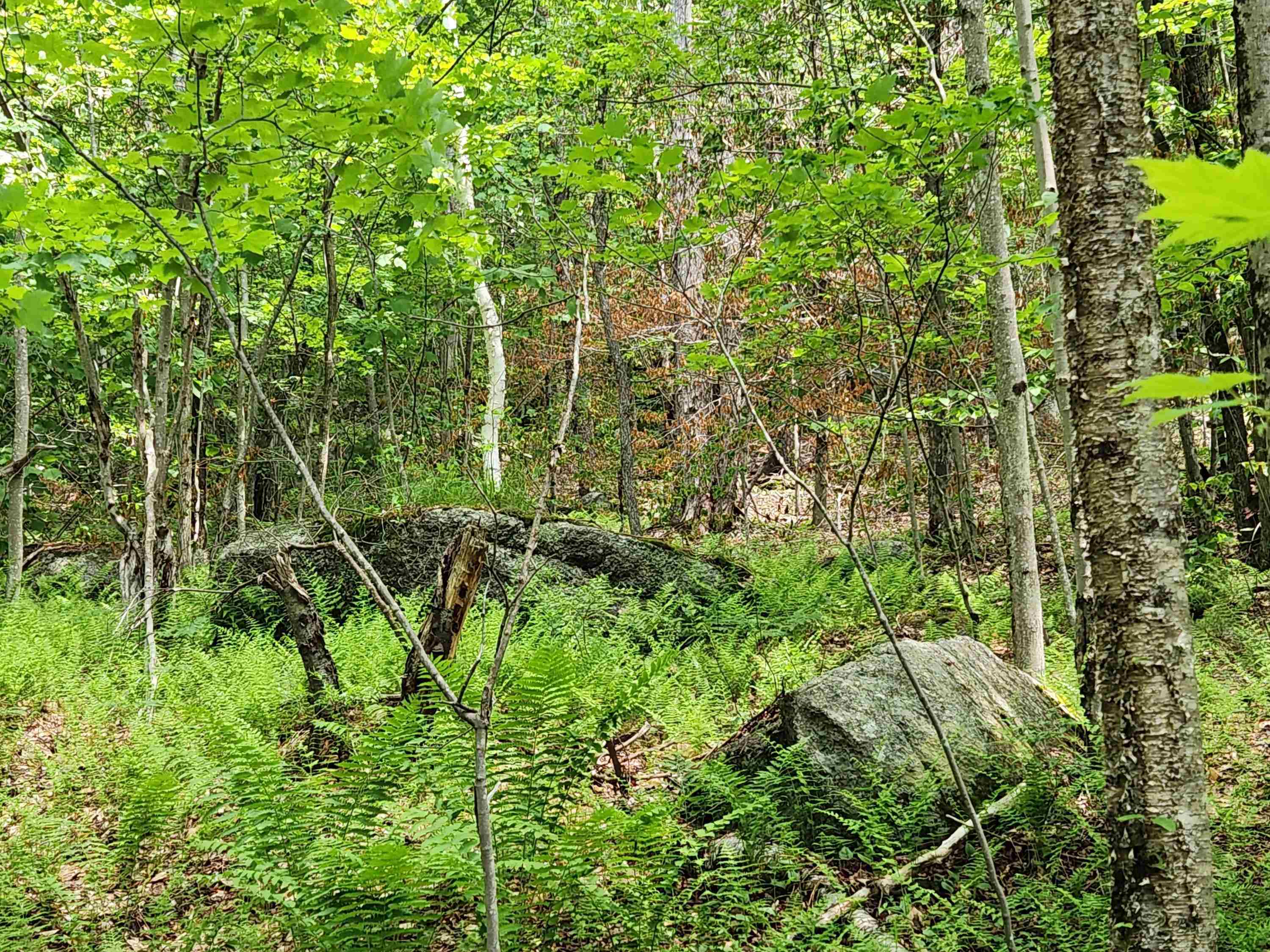 1 C Risky Ranch Road Stamford, VT 05352 - Photo 2 of 8