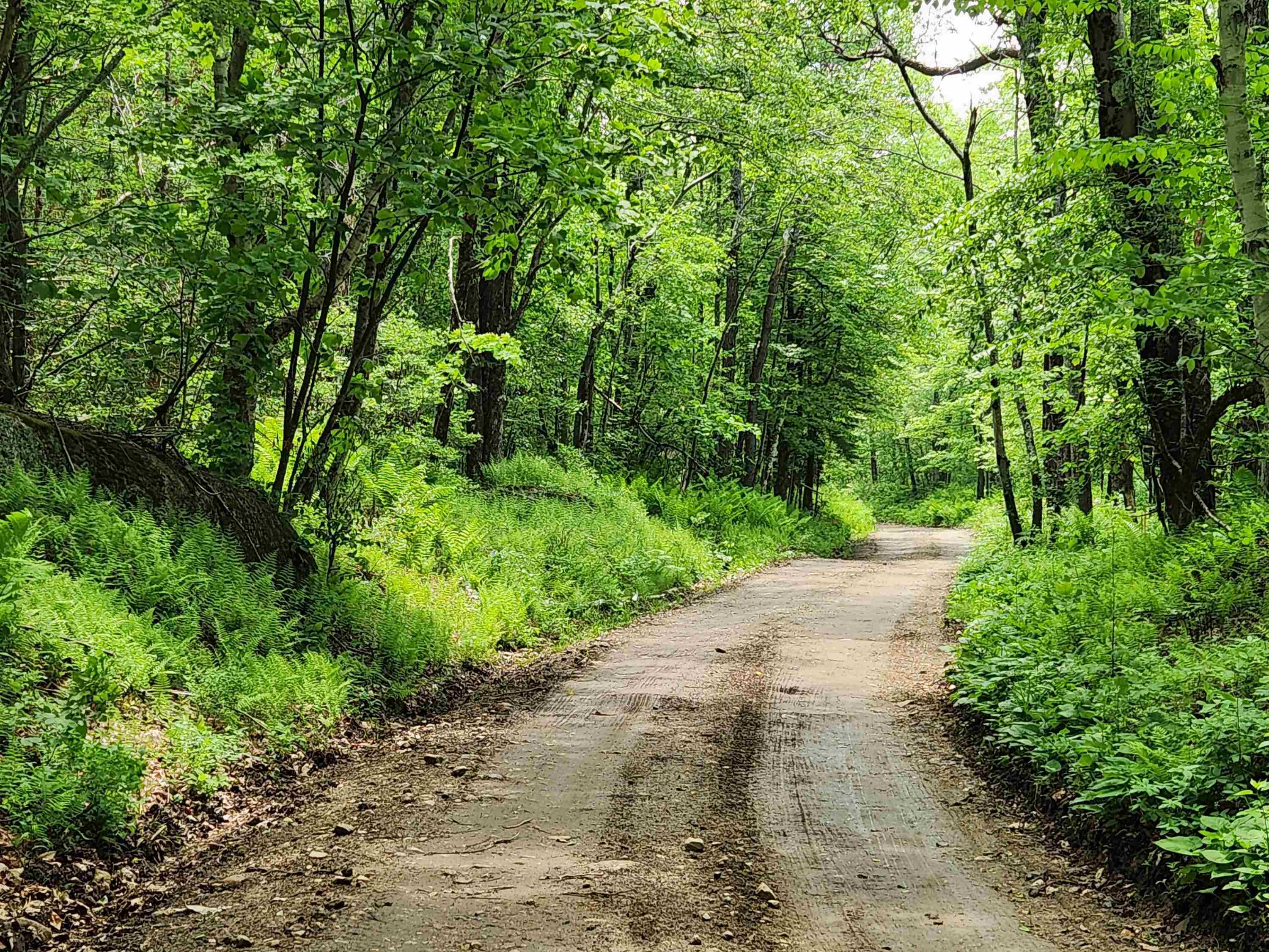 1 C Risky Ranch Road Stamford, VT 05352 - Photo 4 of 8