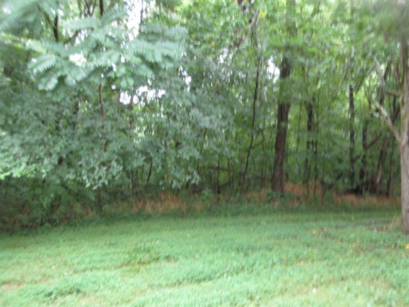 11 Sunny Point Road Baxter, TN 38544 - Photo 12 of 20 a view of a yard