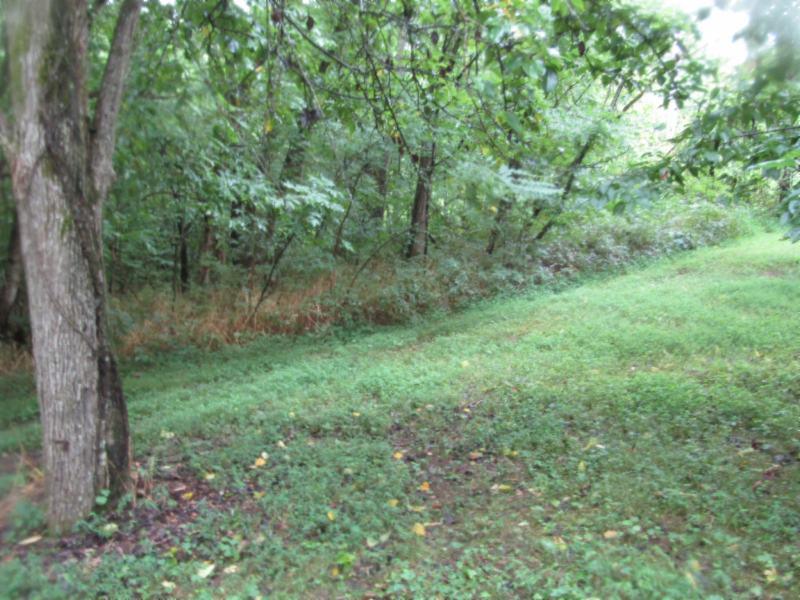11 Sunny Point Road Baxter, TN 38544 - Photo 14 of 20 a view of a lush green forest