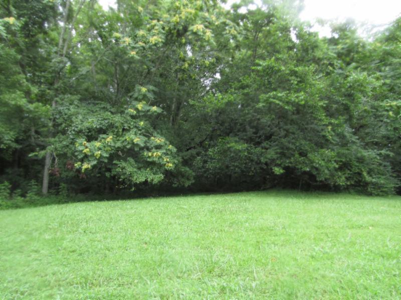 11 Sunny Point Road Baxter, TN 38544 - Photo 15 of 20 a view of a green yard