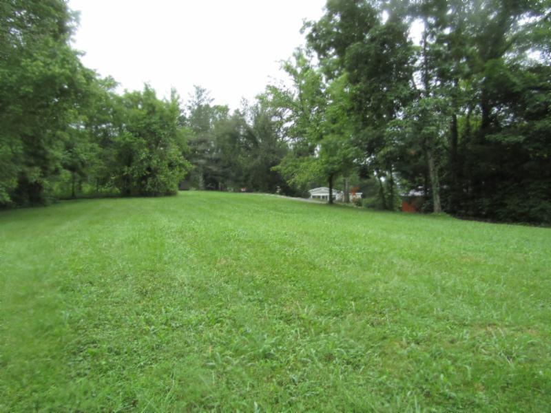 11 Sunny Point Road Baxter, TN 38544 - Photo 16 of 20 a view of a green field with trees in the background