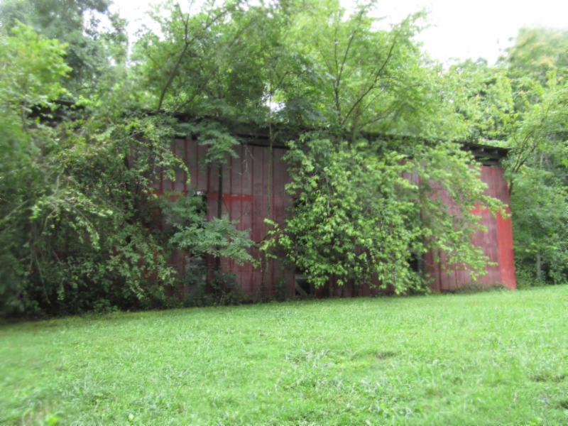 11 Sunny Point Road Baxter, TN 38544 - Photo 6 of 20 a view of a back yard