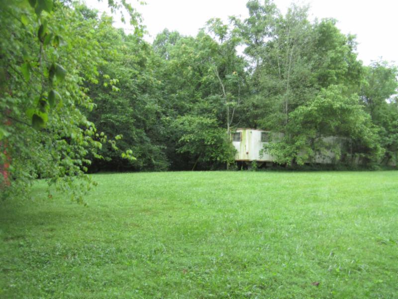 11 Sunny Point Road Baxter, TN 38544 - Photo 9 of 20 a view of a back yard