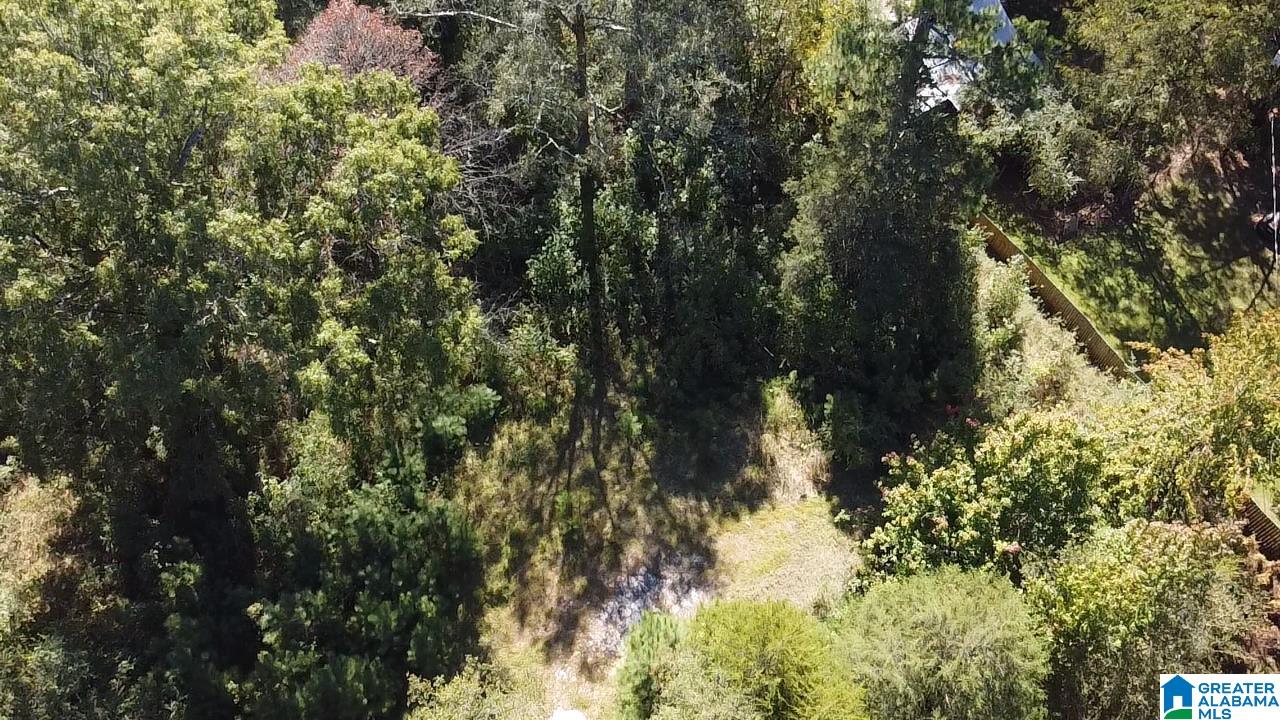 0 Odens Mill Road Sylacauga, AL 35151 - Photo 10 of 23