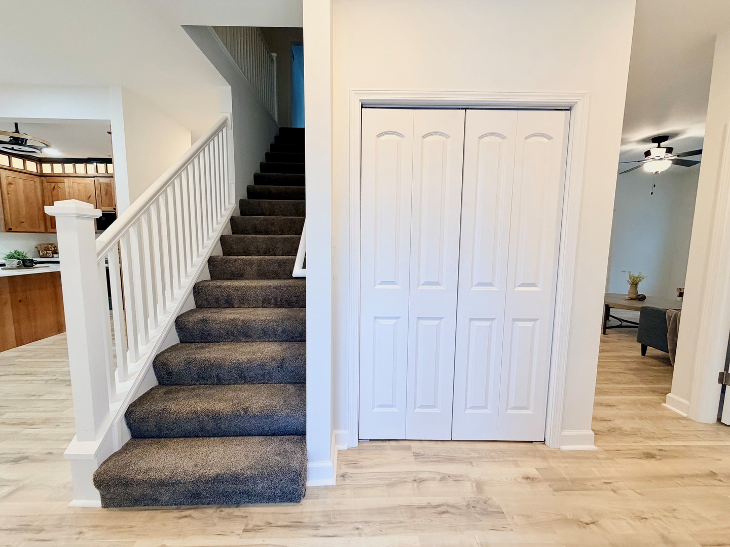 1480 Raymond Street South Elgin, IL 60177 - Photo 5 of 27