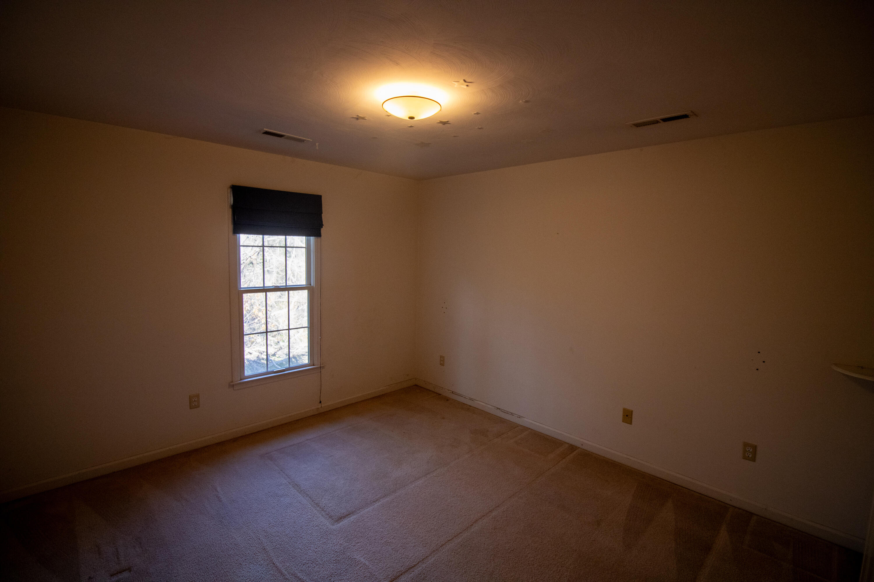 4133 Cresthill Drive Roanoke, VA 24018 - Photo 9 of 10 IMG_3602