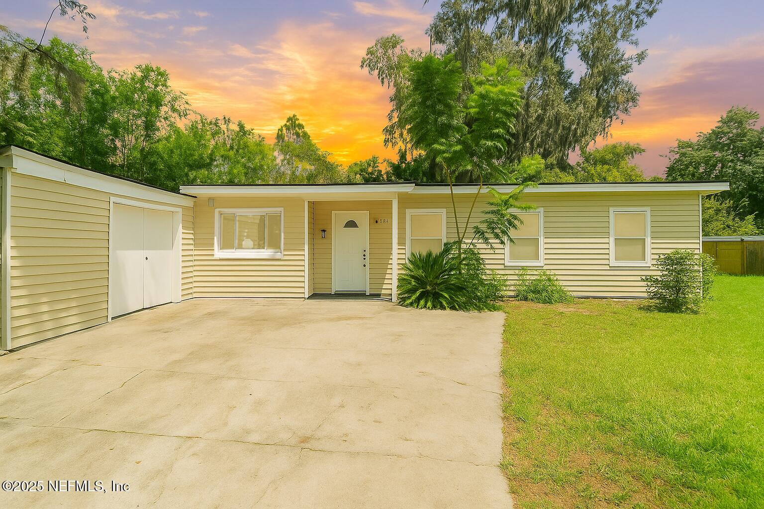 a view of a backyard with plants and large tree