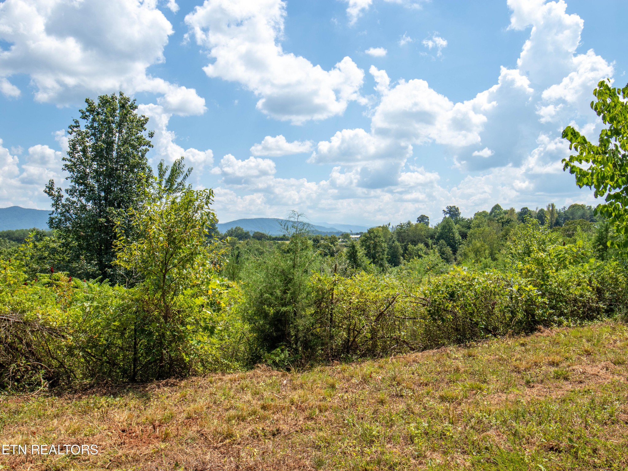 0 Hutton Ridge Road Maryville, TN 37801 - Photo 21 of 24 Gallery Image 21