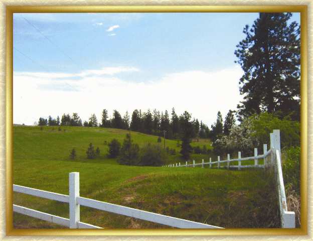 7624 North Austin Road, Unit PARCEL F Spokane, WA 99208 - Photo 1 of 1 Gallery Image 1
