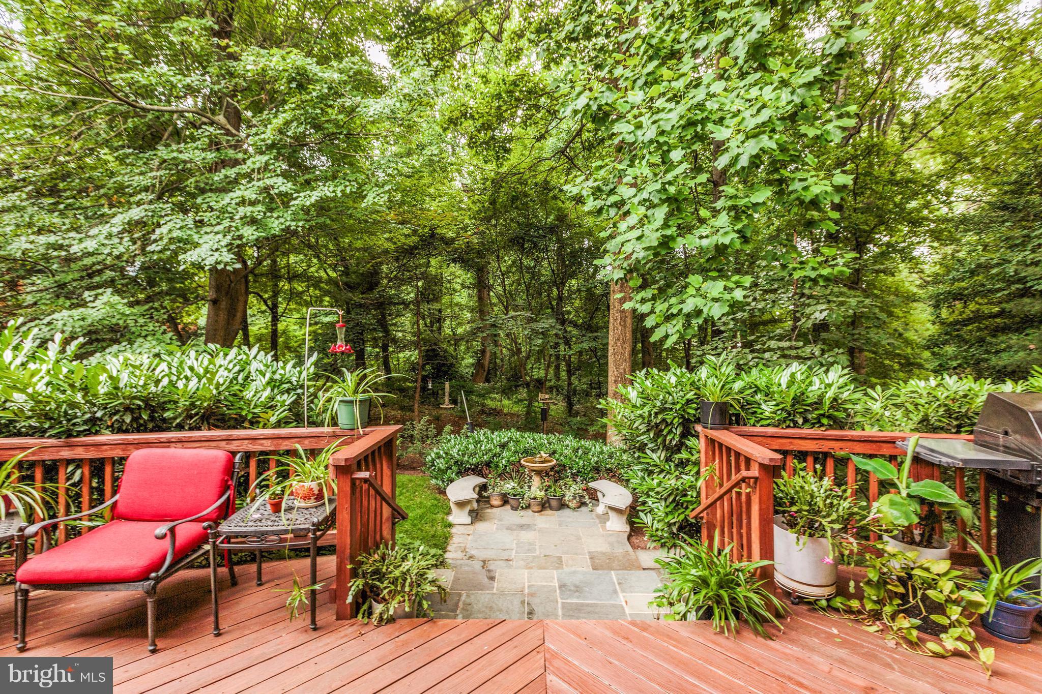 1001 Bellview Road McLean, VA 22102 - Photo 25 of 30 Enjoy the secluded, gorgeous wooded views