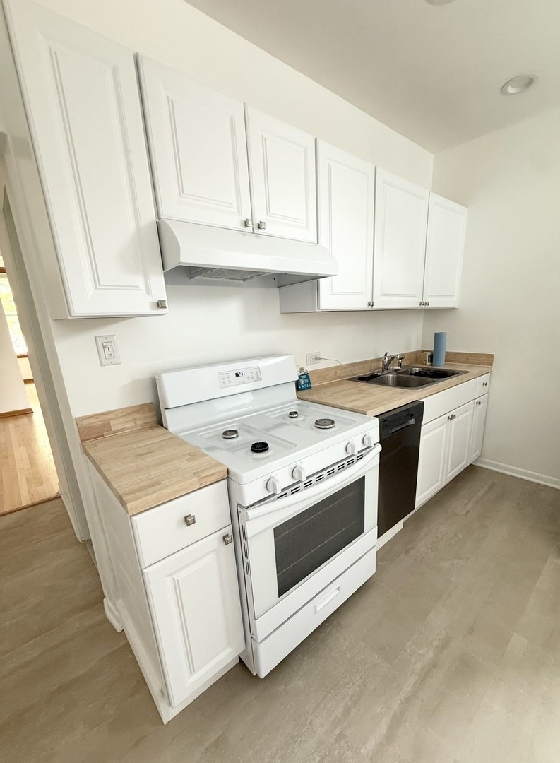 921 South Bishop Street, Unit 2 Chicago, IL 60607 - Photo 9 of 14 a kitchen with stainless steel appliances granite countertop a stove a sink and a white cabinets