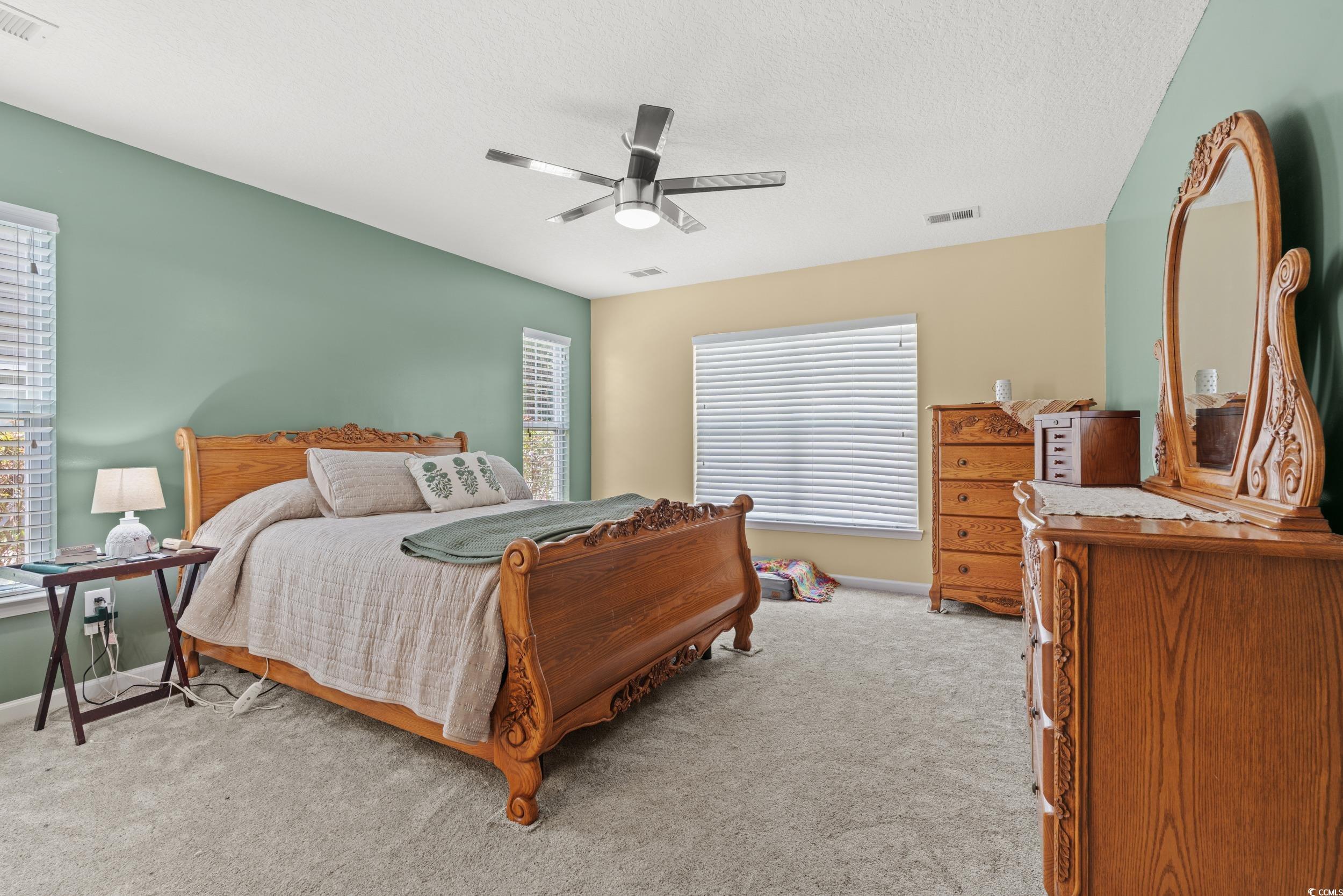 276 Whipple Run Loop Myrtle Beach, SC 29588 - Photo 23 of 40 Bedroom with multiple windows, light carpet, and a