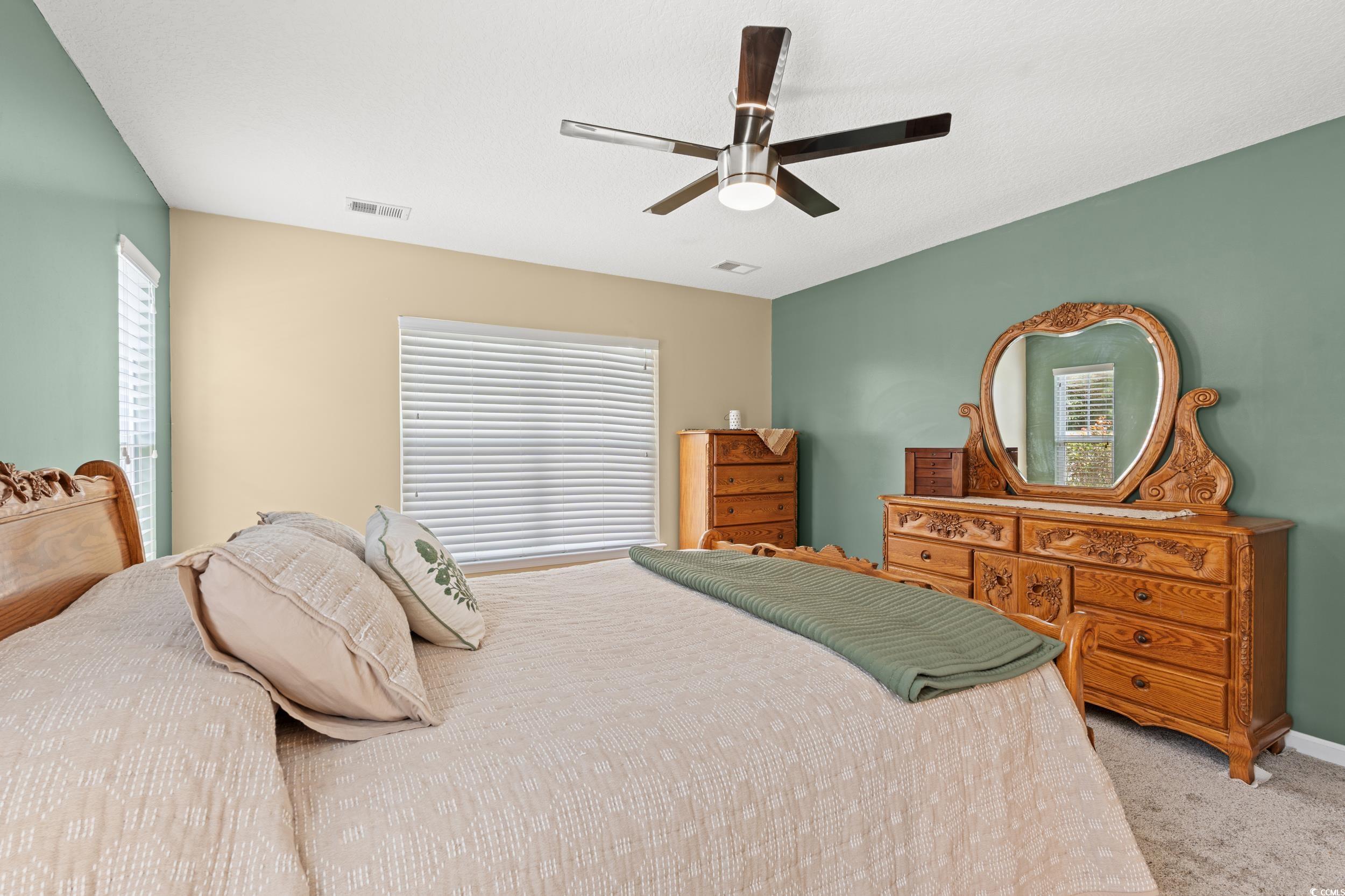276 Whipple Run Loop Myrtle Beach, SC 29588 - Photo 24 of 40 Bedroom with carpet floors, multiple windows, and