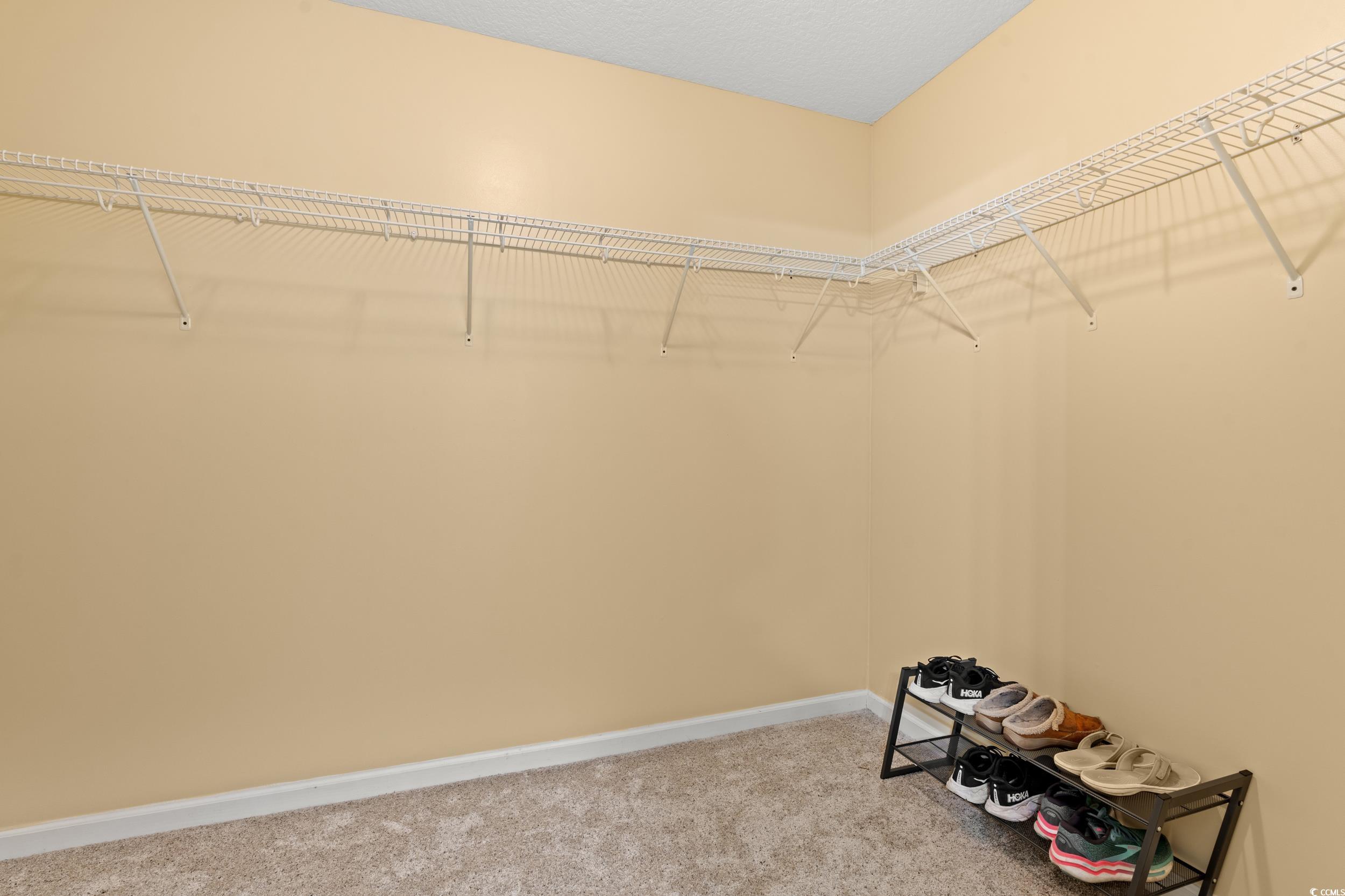 276 Whipple Run Loop Myrtle Beach, SC 29588 - Photo 27 of 40 Walk in closet with carpet