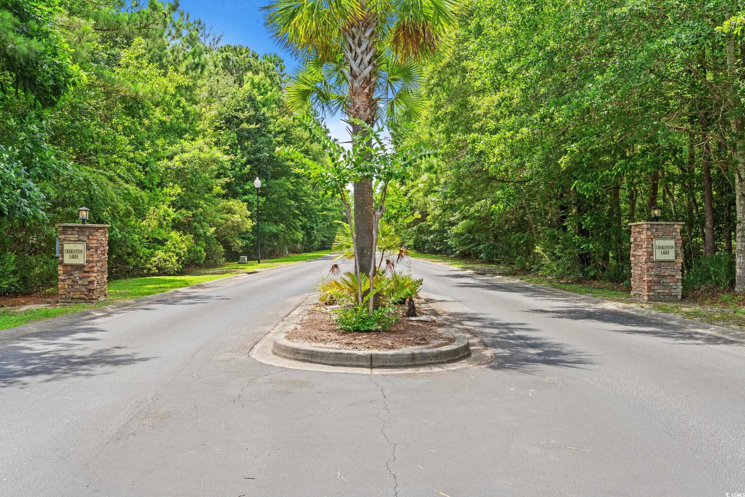 276 Whipple Run Loop Myrtle Beach, SC 29588 - Photo 35 of 40 View of asphalt road with street lights